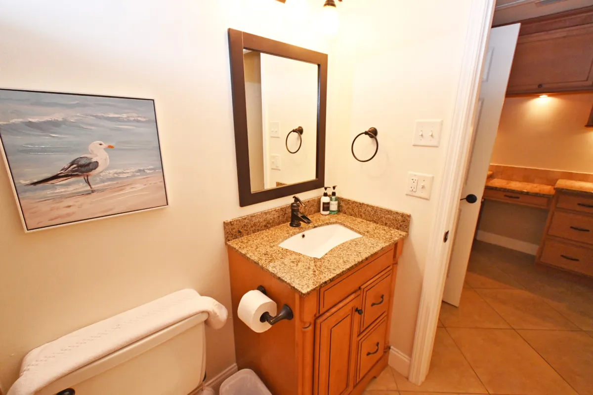A calm and refreshing bathroom with a granite countertop, large mirror, sink, and a charming seagull painting. The space is bright and welcoming, ideal for both personal grooming and moments of quiet reflection.