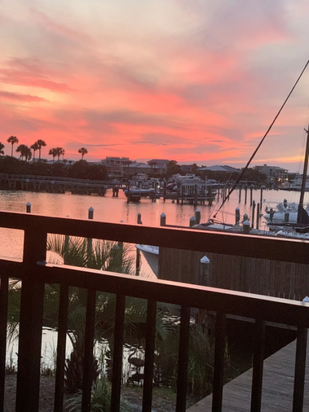 A peaceful marina scene at sunset, with boats docked along a waterfront, palm trees silhouetted against the sky, and a wooden railing and dock in the foreground. The soft, warm hues evoke the relaxed vibe of evenings spent near the water after a day of boating or fishing.